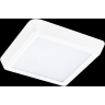 Светильник накладной LIGHTSTAR URBANO 216802
